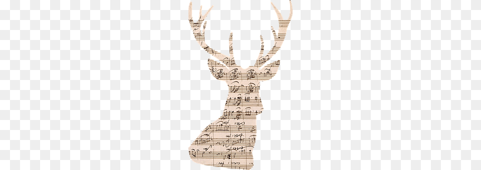 Deer Adult, Bride, Female, Person Png Image