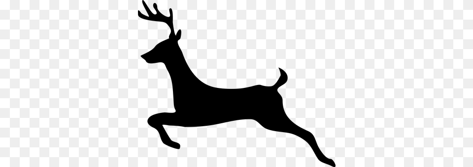 Deer Gray Free Transparent Png