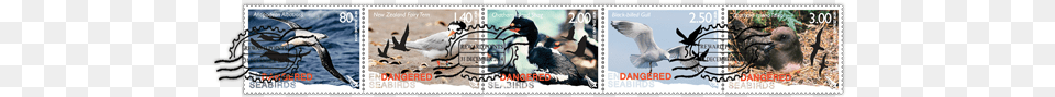 Deer, Postage Stamp, Animal, Bird Free Png