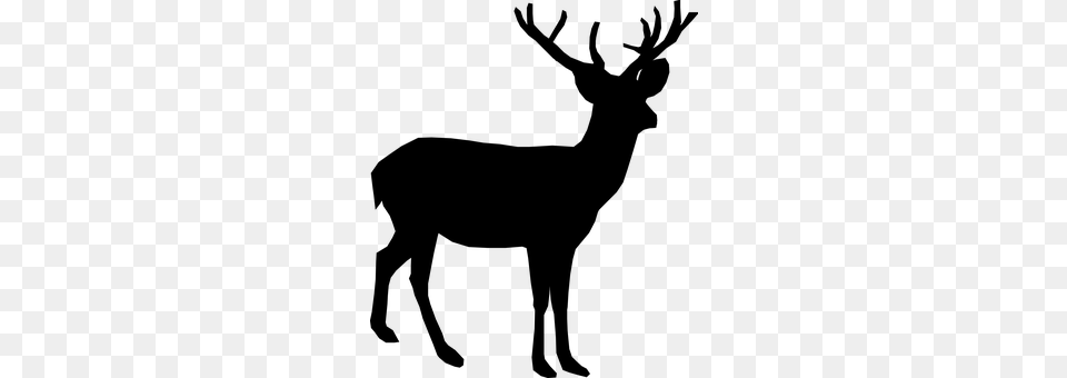 Deer Gray Free Png