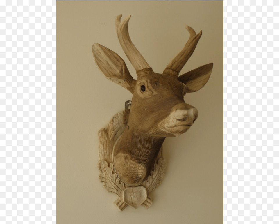 Deer, Animal, Antler, Mammal, Wildlife Png Image
