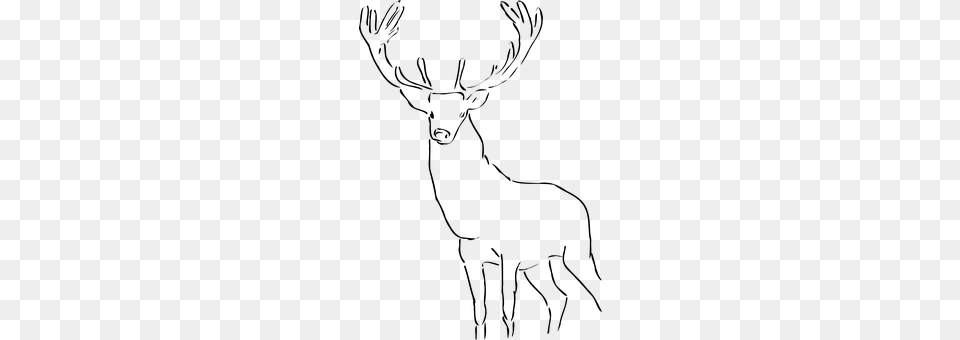 Deer Gray Free Png