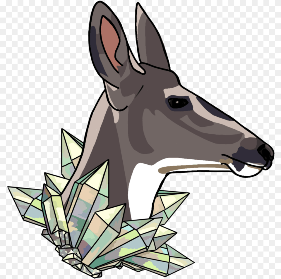 Deer, Animal, Mammal, Wildlife, Person Png