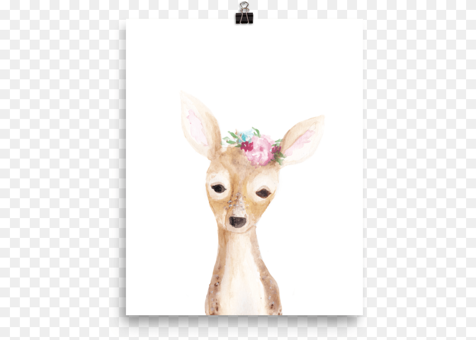 Deer, Animal, Mammal, Wildlife, Flower Free Png
