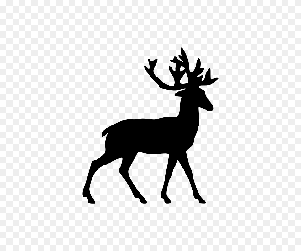 Deer, Gray Free Png Download