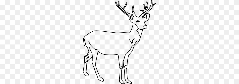 Deer Gray Free Png Download