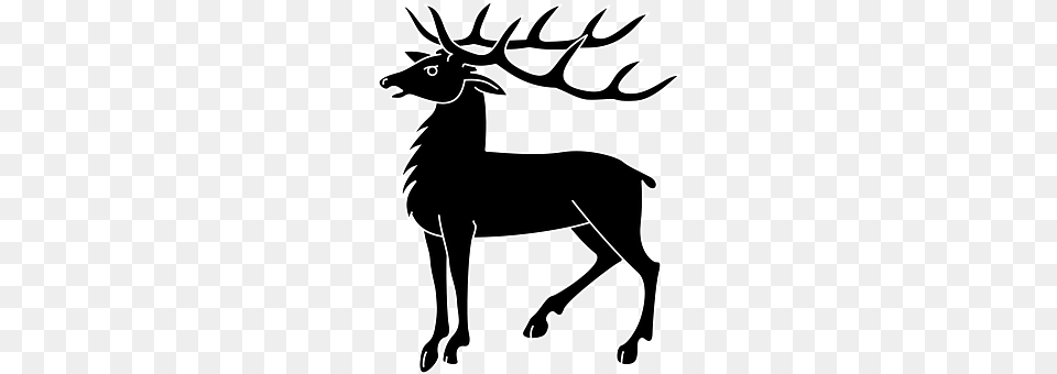 Deer Animal, Mammal, Wildlife, Elk Free Transparent Png