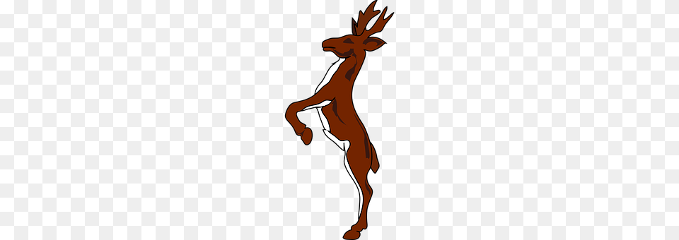 Deer Animal, Mammal, Adult, Female Free Png