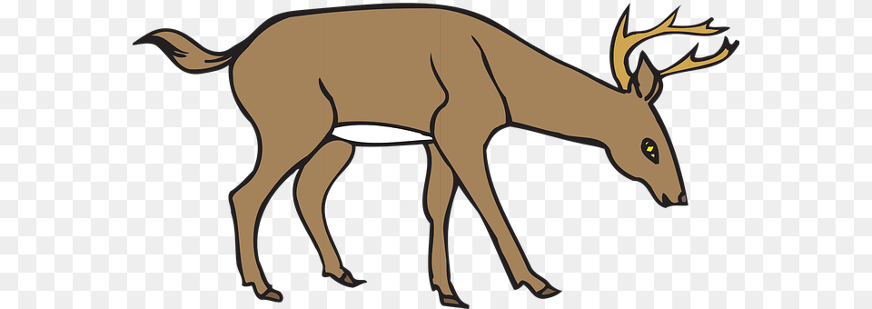 Deer Animal, Mammal, Wildlife, Elk Png Image