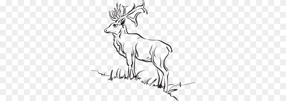 Deer Animal, Mammal, Wildlife, Elk Free Png Download