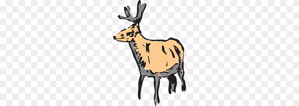 Deer Animal, Wildlife, Mammal, Elk Png