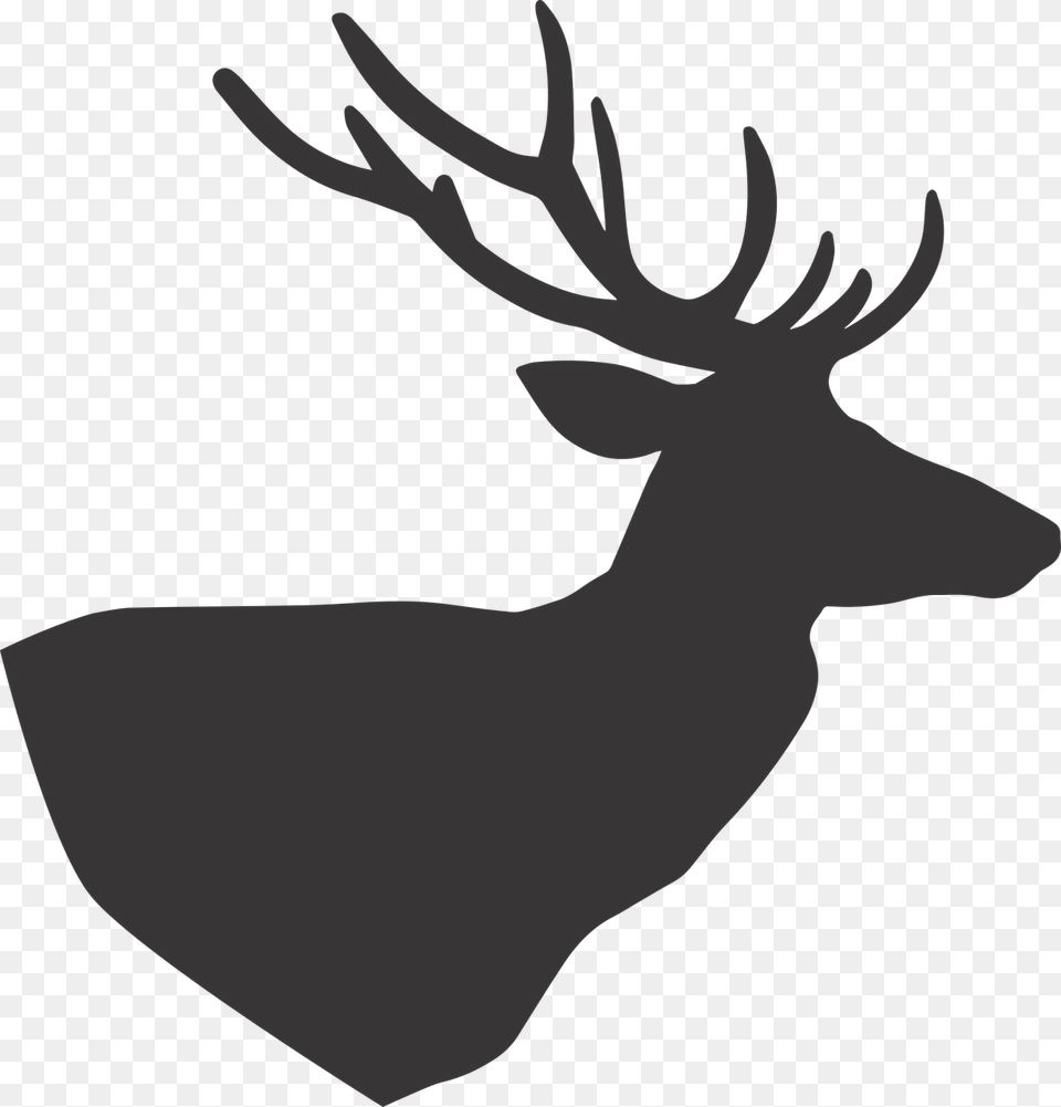 Deer, Animal, Mammal, Wildlife, Elk Png
