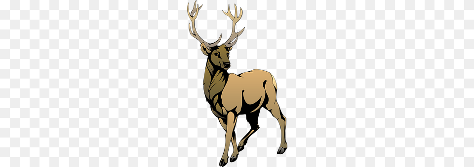 Deer Animal, Elk, Mammal, Wildlife Free Png