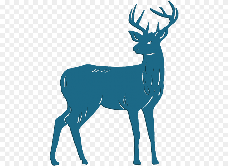 Deer, Animal, Elk, Mammal, Wildlife Free Transparent Png