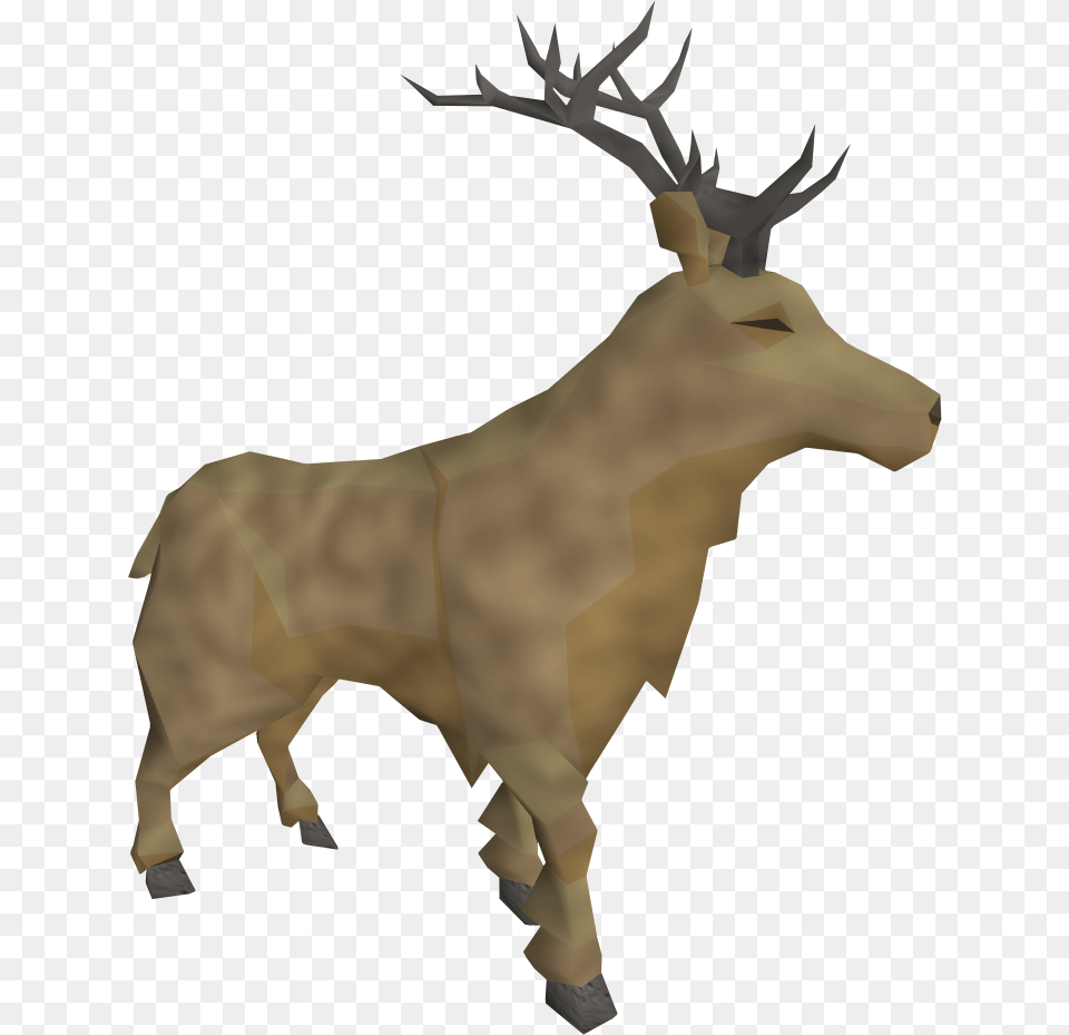 Deer, Animal, Elk, Mammal, Wildlife Png Image