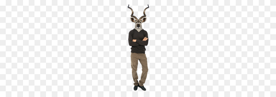 Deer Clothing, Costume, Person, Pants Free Transparent Png