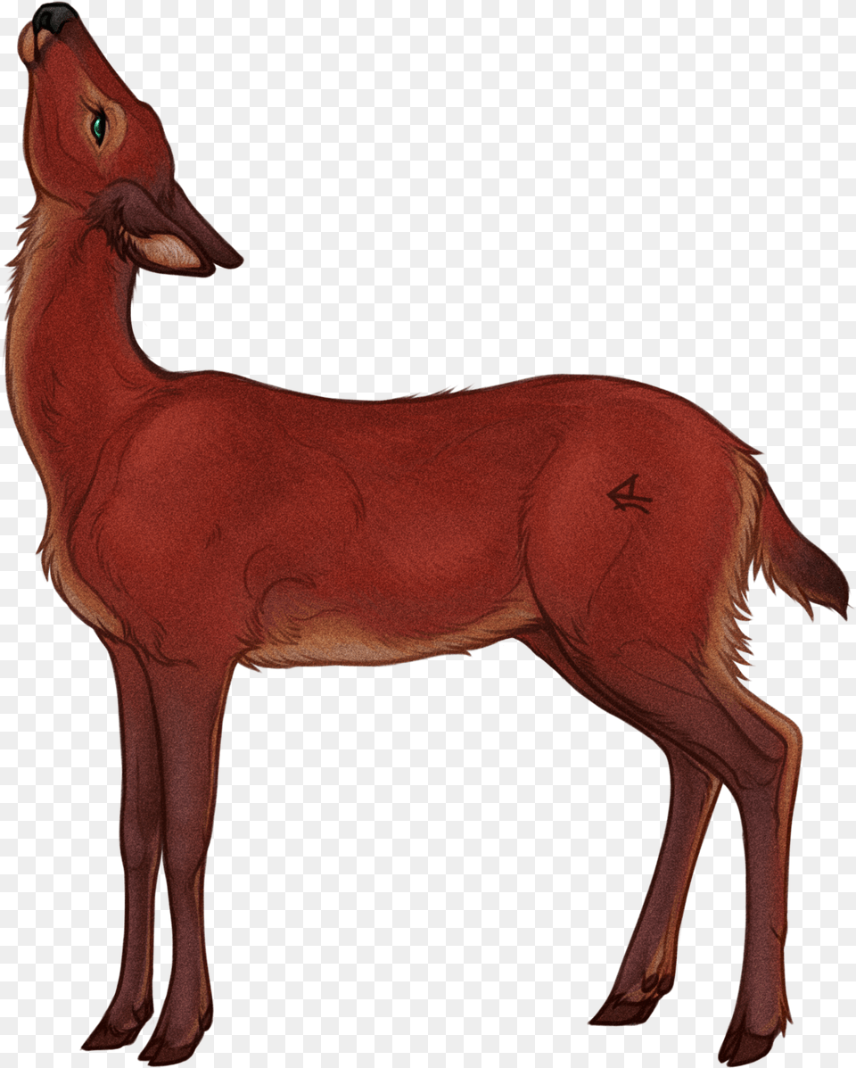 Deer, Animal, Mammal, Wildlife, Horse Png