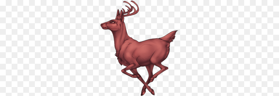 Deer Adult Deer Tumblr, Animal, Elk, Mammal, Wildlife Free Png Download