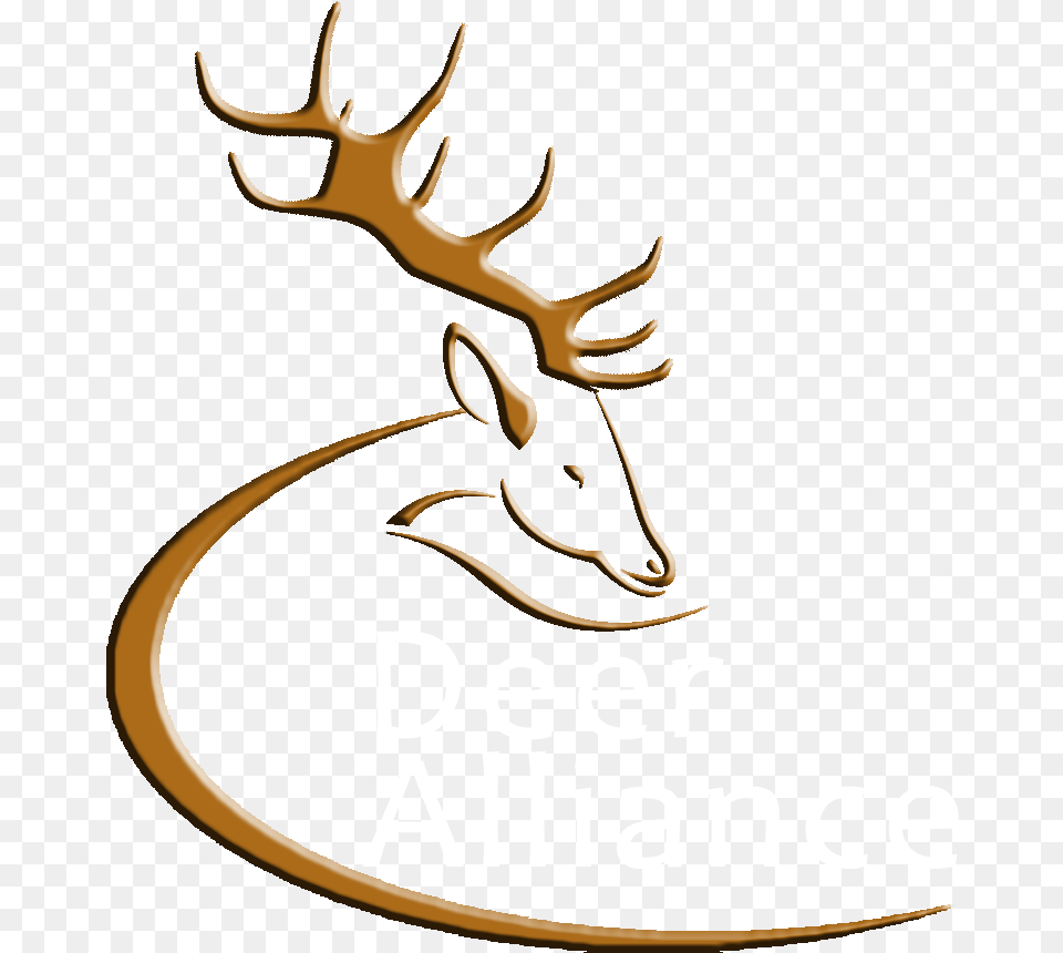 Deer Alliance Deer Head Logo, Animal, Antler, Mammal, Wildlife Png