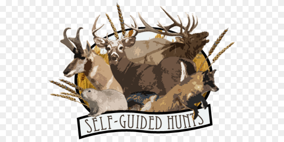 Deer And Hunting Logo, Animal, Mammal, Wildlife, Antler Png