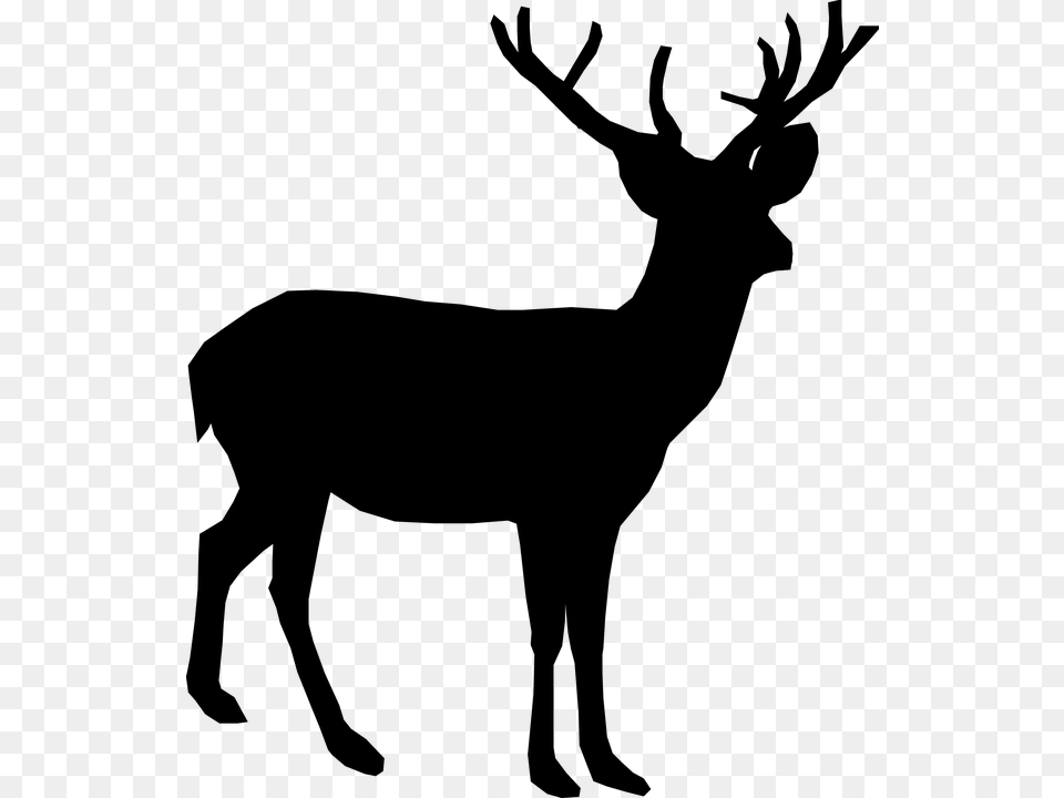 Deer Animal Antler Stand Silhouette Black Background Deer Silhouette, Gray Free Transparent Png