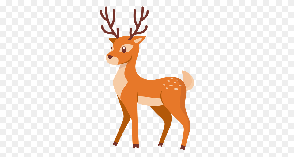 Deer Animal Cartoon, Mammal, Wildlife Png