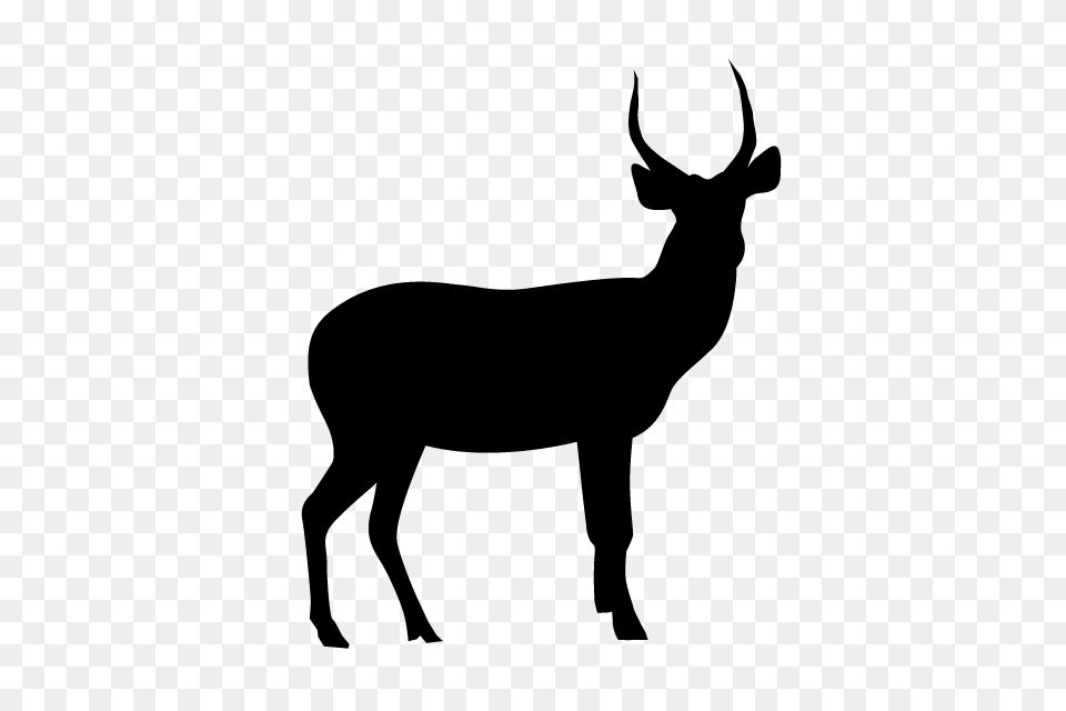 Deer Animal Silhouette Free Illustrations, Gray Png Image