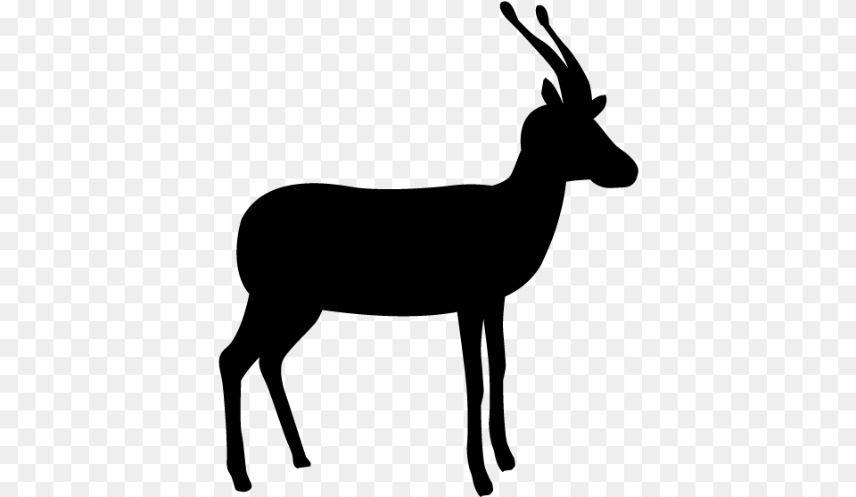 Deer Animal Silhouette Silhouette Of A Deer, Gray Png