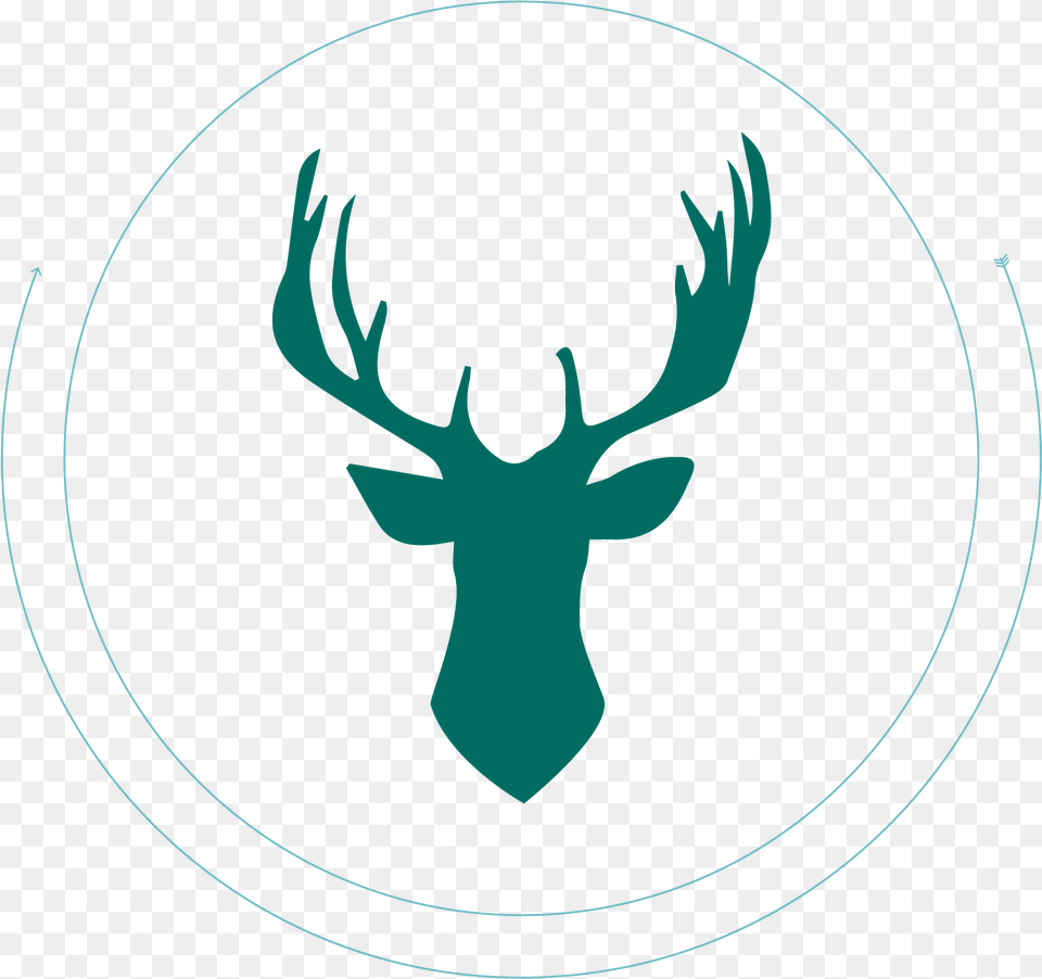 Deer Antler Buck Silhouette Deer Head Clipart Black And White, Animal, Mammal, Wildlife, Person Png