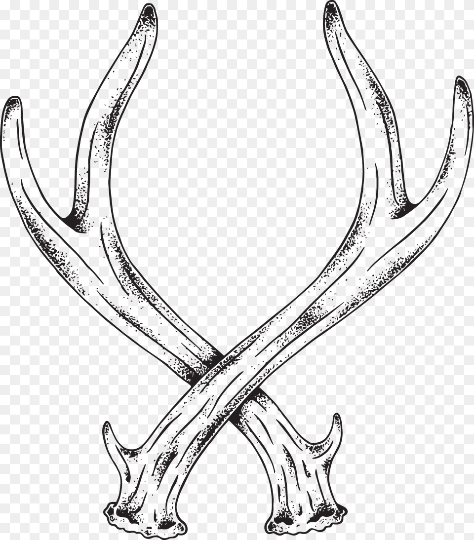 Deer Antler Line Art Free Png Download