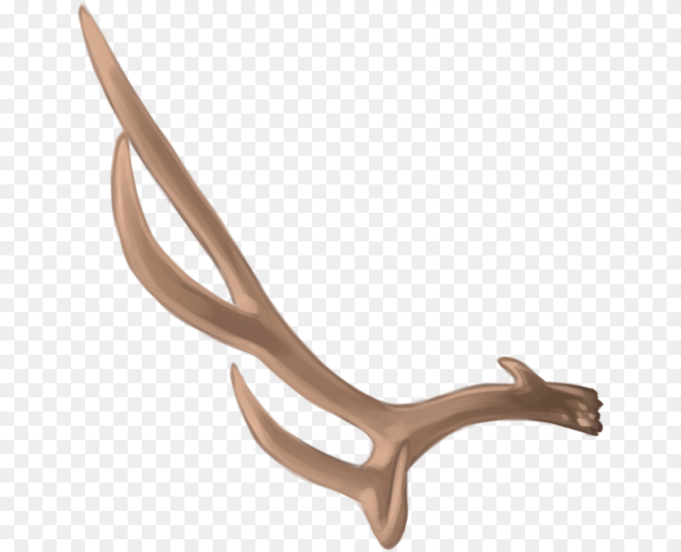 Deer Antler Material Wood Png