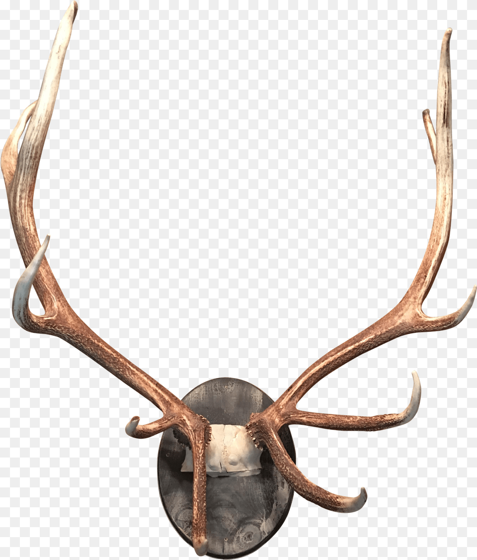 Deer Antler Moose Horn Elk Antler, Bow, Weapon Free Png Download