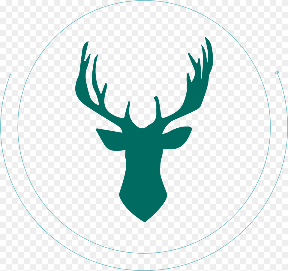 Deer Antler Reindeer, Animal, Mammal, Wildlife, Person Free Png