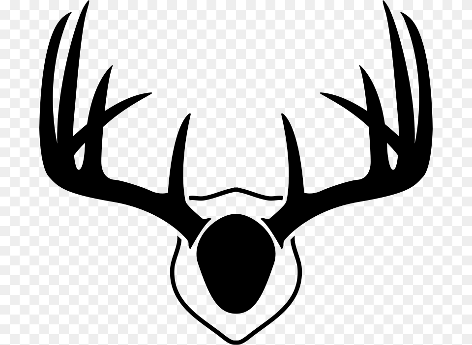 Deer Antlers, Gray Free Transparent Png