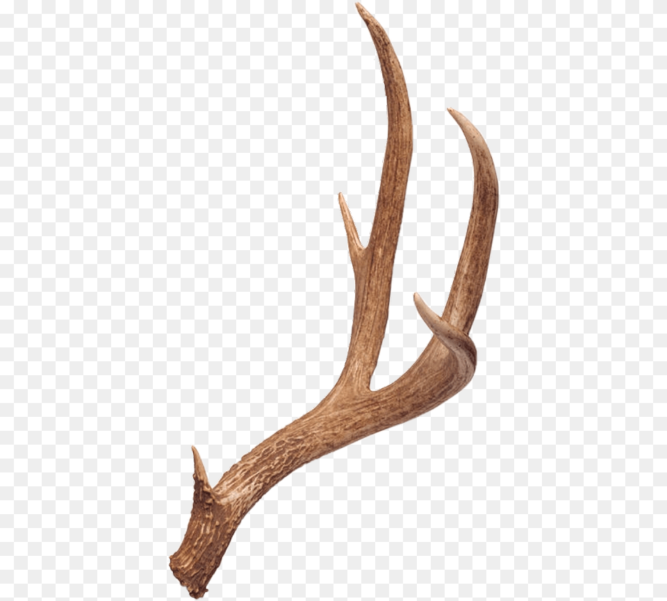 Deer Antlers, Antler, Blade, Dagger, Knife Png Image