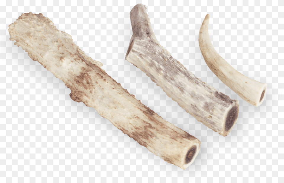 Deer Antlers, Blade, Dagger, Knife, Weapon Free Png Download