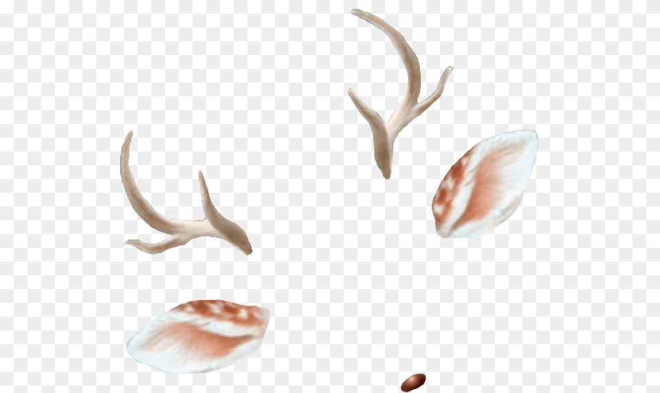 Deer Antlers Ears Doe Deerantlers Snapchat Filter Filte Snapchat Filters Transparent Background, Antler, Animal, Invertebrate, Sea Life Png Image