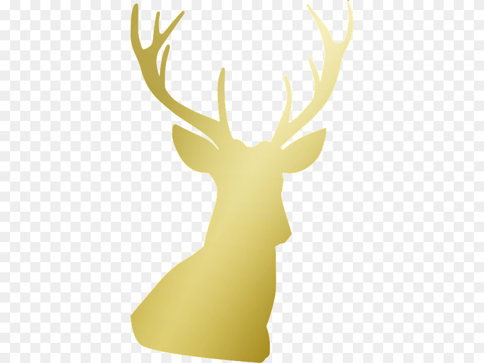 Deer Antlers Gold Golden Foil Material Head Golden Deer Head, Animal, Mammal, Wildlife, Antler Png Image