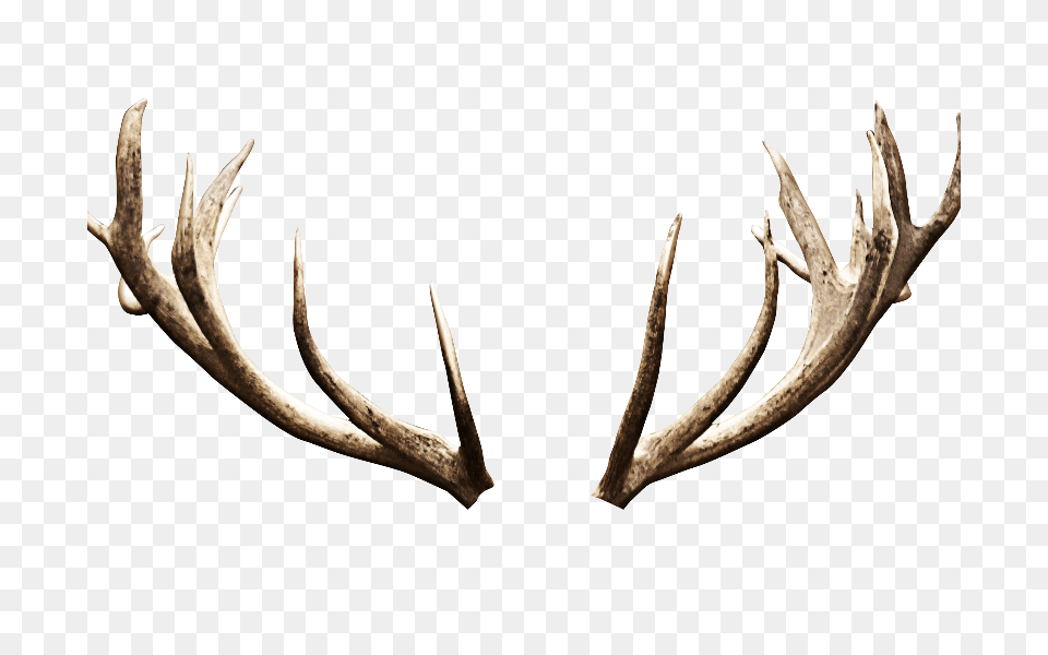 Deer Antlers Horns Image, Antler Free Transparent Png