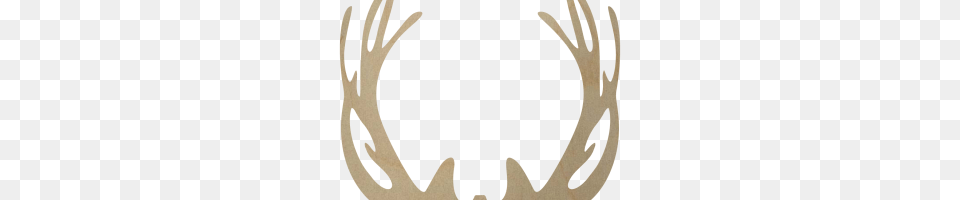 Deer Antlers Image, Antler, Animal, Kangaroo, Mammal Free Transparent Png