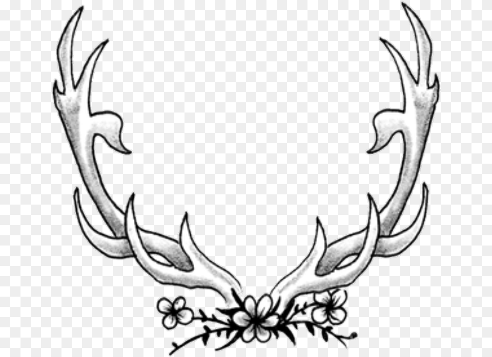 Deer Antlers Sketch, Antler, Plant Free Png Download