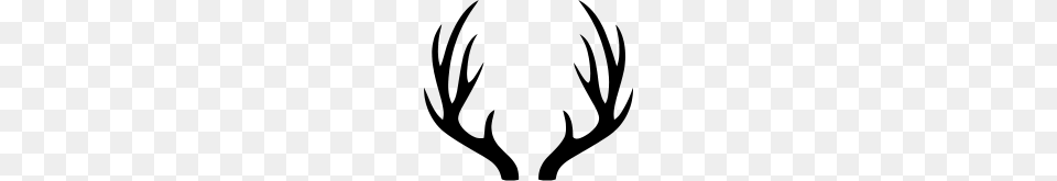 Deer Antlers Tall, Gray Png Image