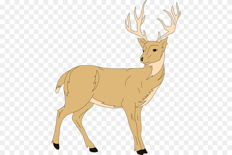 Deer Art Forest Animal Fur With Antlers Deer Clipart, Mammal, Wildlife, Elk, Kangaroo Png Image