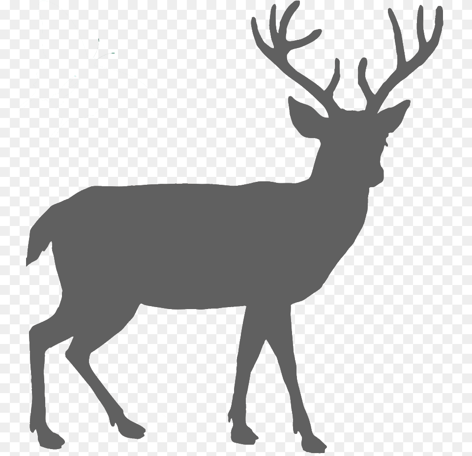 Deer Black And White, Logo, Art, Collage, Modern Art Free Png