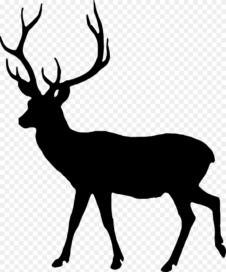 Deer Black And White, Gray Png Image