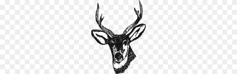 Deer Black Clip Art, Animal, Mammal, Wildlife, Person Png Image