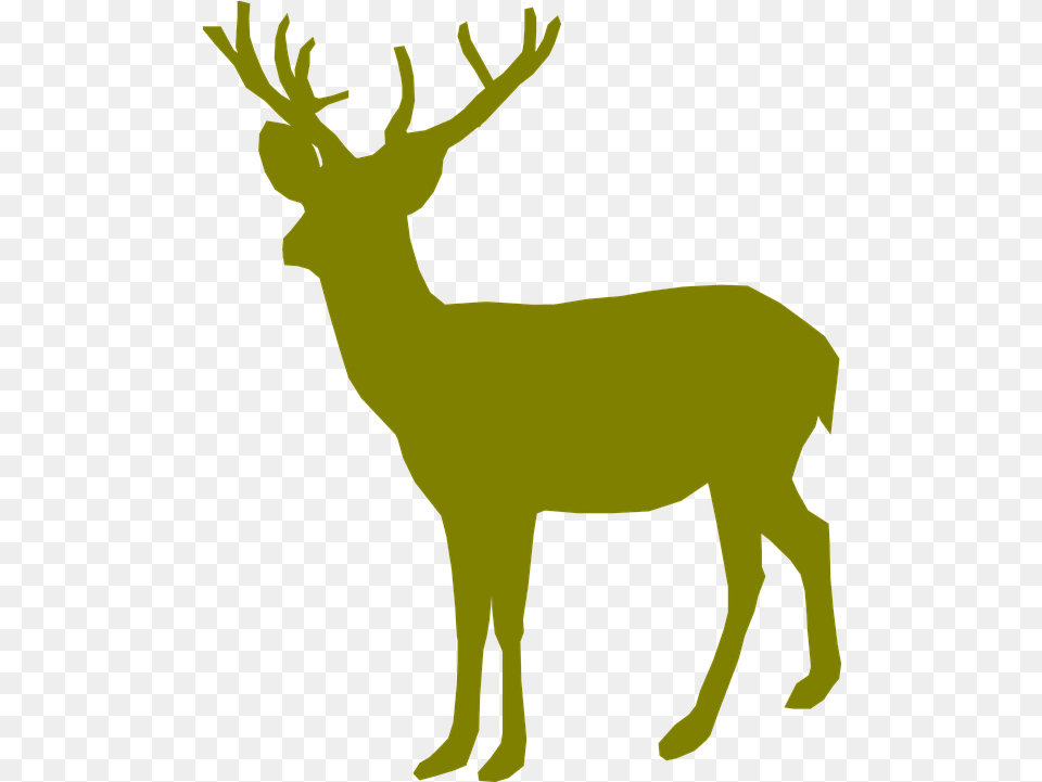 Deer Buck Male Deer Green, Animal, Mammal, Wildlife, Person Free Png Download