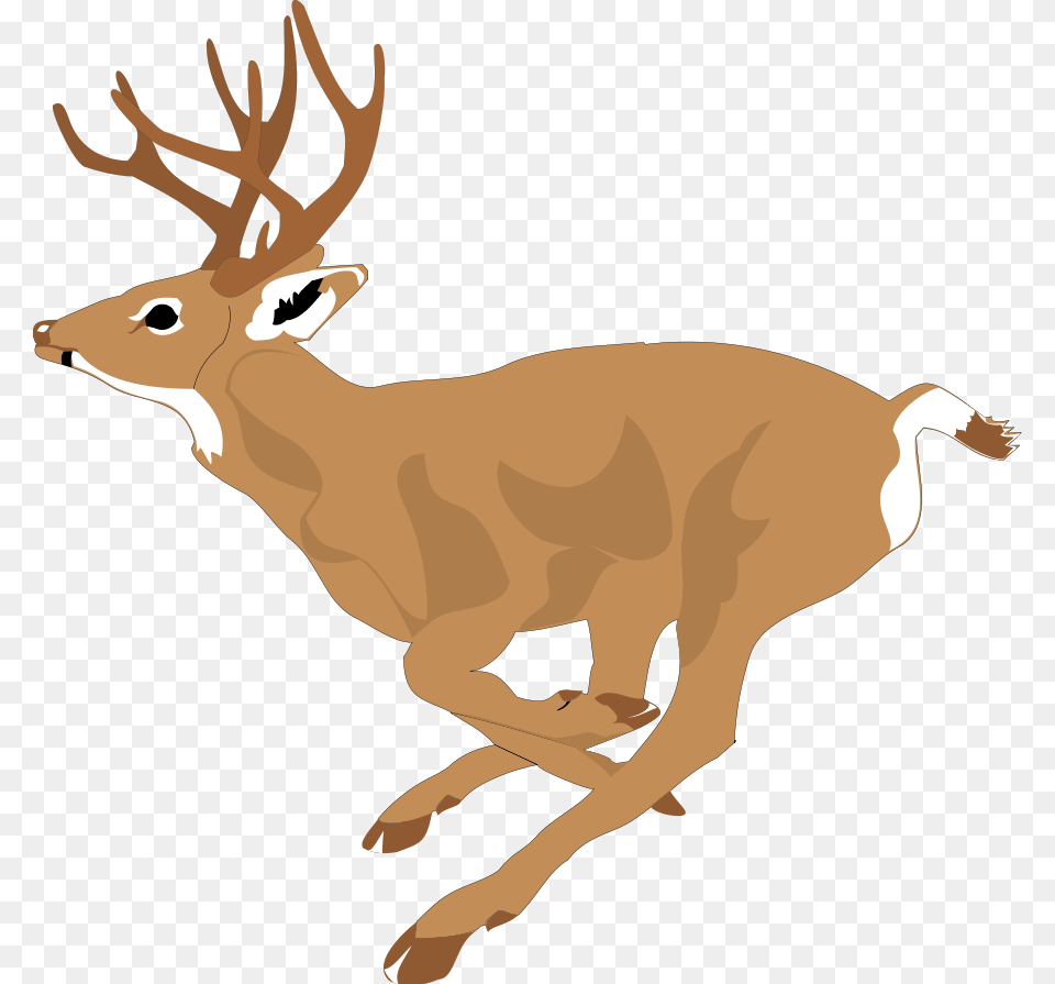 Deer Bucks Cliparts, Animal, Mammal, Wildlife, Elk Free Png Download