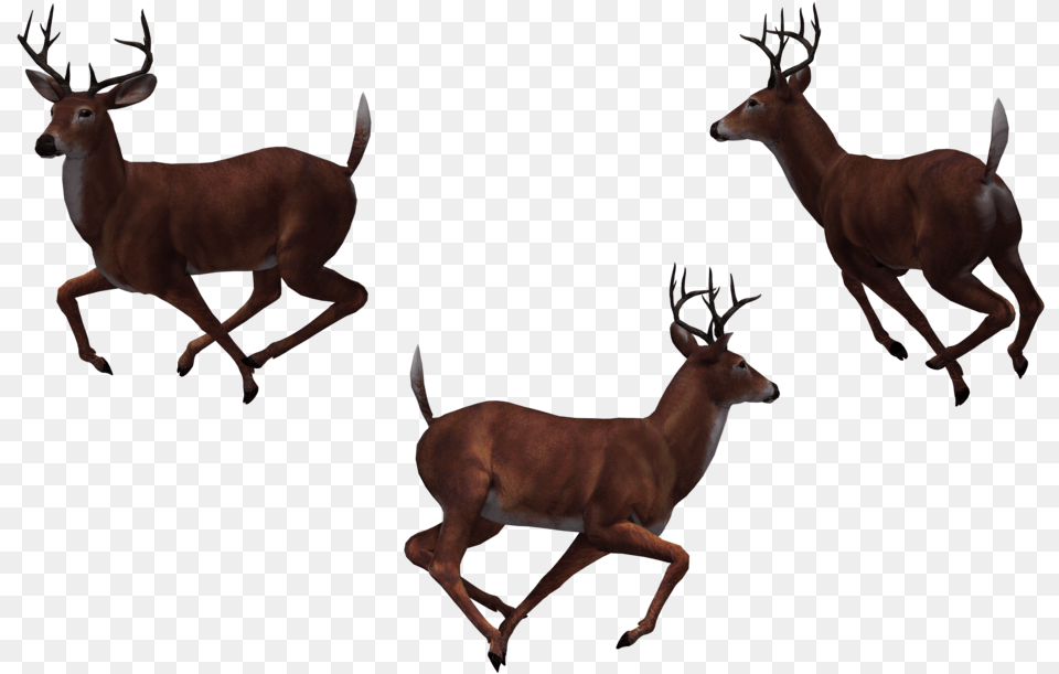 Deer Cartoon Group Of Deer, Animal, Antelope, Mammal, Wildlife Png