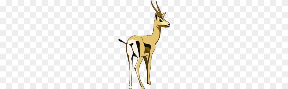 Deer Clip Art, Animal, Antelope, Wildlife, Gazelle Png Image